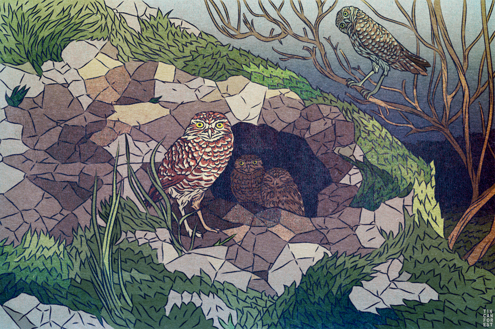 Burrowing Owl by Tin Can Forest